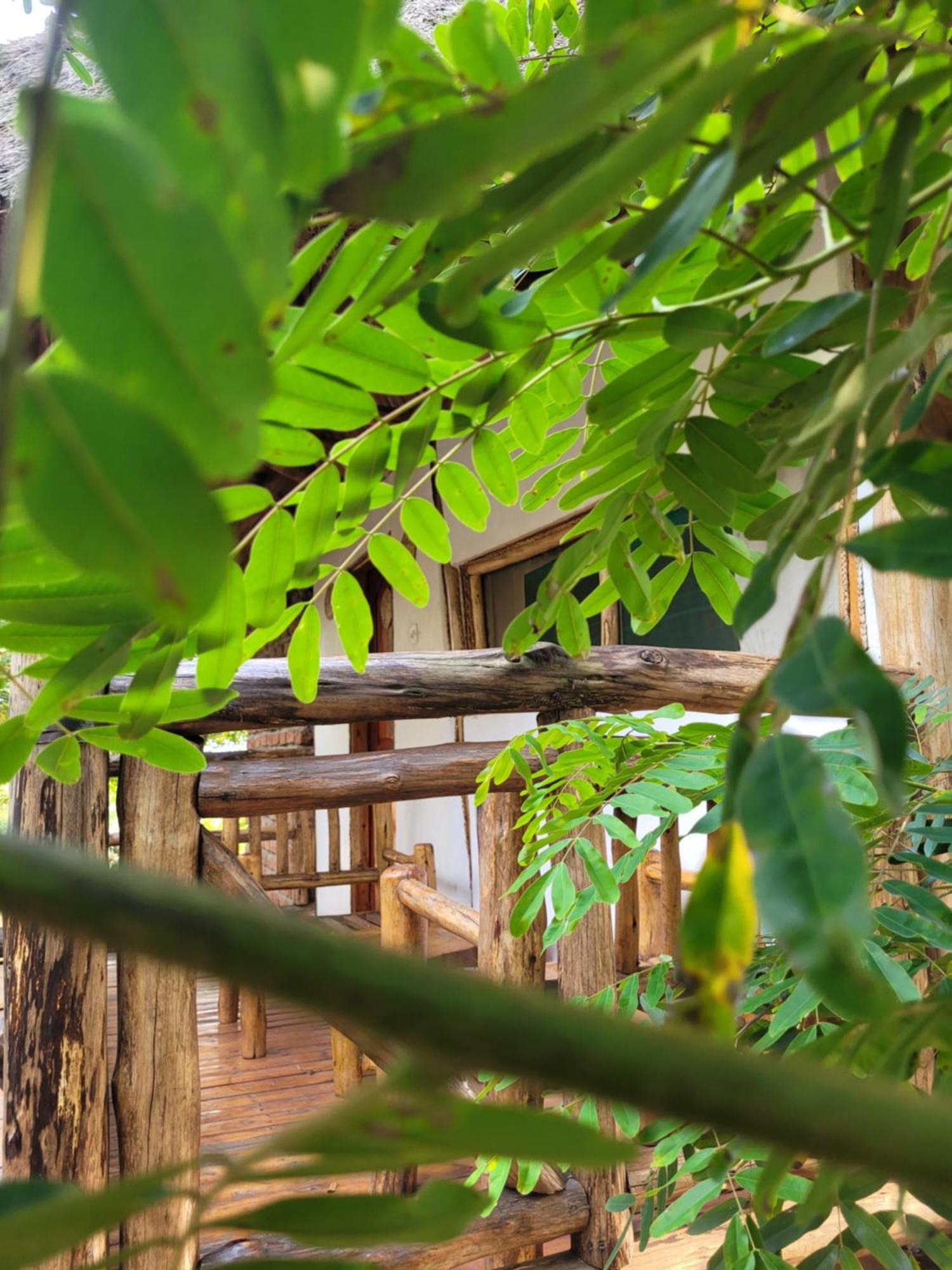 Songbird Safari Lodge & Campsite Katunguru Екстер'єр фото